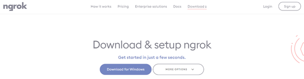 Download and install Ngrok to allow external network access to your IVR application