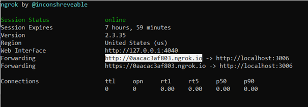Ngrok status information
