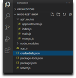 Including the credentials.json file in the root directory of your project